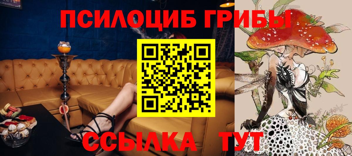 Псилоцибиновые грибы мицелий  Вход с VPN  Галлюциногенные грибы GOLDEN TEACHER  Владикавказ 