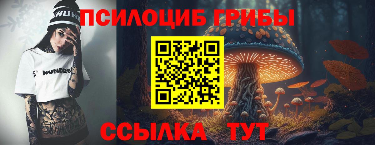 Галлюциногенные грибы GOLDEN TEACHER Владикавказ