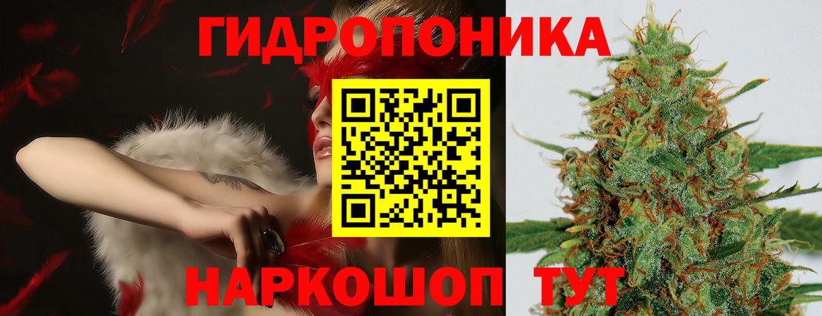 МАРИХУАНА White Widow Владикавказ